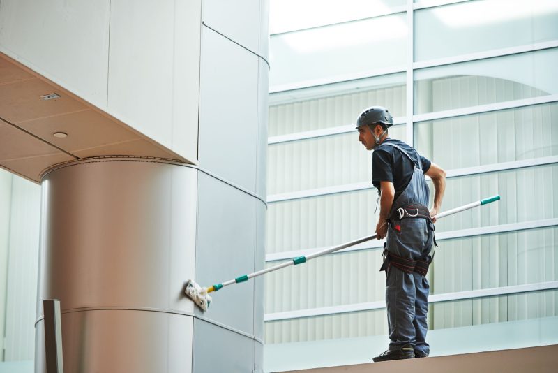 Sparkling Views: The Importance of Professional Window Cleaning in Flower Mound, TX