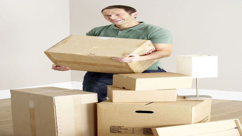 Finding the Best Moving Companies in Chicago, IL, Ensures That the Move Is a Success