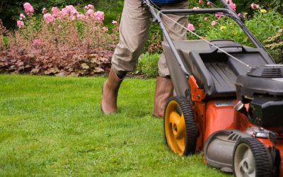 Expert Lawn Maintenance in Groveland, FL Requires the Experts