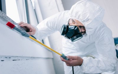 Comprehensive Pest Control Services in Plymouth County MA: Effective Solutions for Your Home