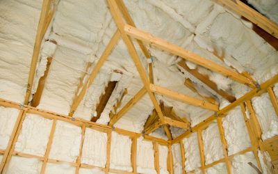Reliable Insulation Contractor Tampa: Comfort and Savings Await