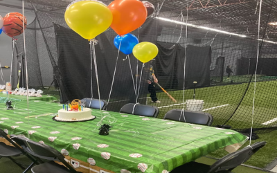 Master Your Swing with Batting Cage Rental, Minneapolis, MN Options