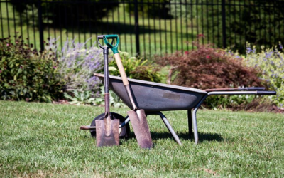 Effective Lawn Fertilization and Weed Control Services in Louisville, KY