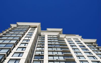 Pet-Friendly Apartments for Rent in Overland Park: Luxury Amenities for Furry Companions