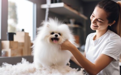 Keep Your Best Friend Happy With Dog Boarding In NYC Pet Owners Rely On Every Day