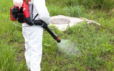Homeowners Rely on Exterior Pest Control Land O Lakes FL for Lasting Outdoor Protection