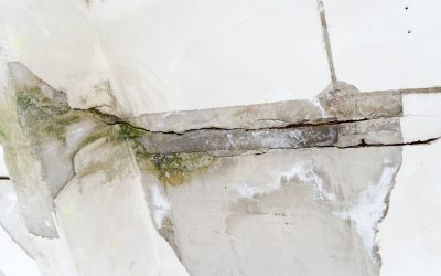 Why Timely Flood Water Damage Cleanup Tupelo, MS Protects Your Property Value