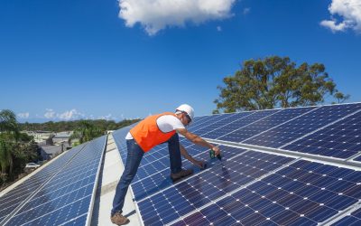 Save Money Long-Term by Bird-Proofing Solar Panels Oahu HI Property Owners Recommend