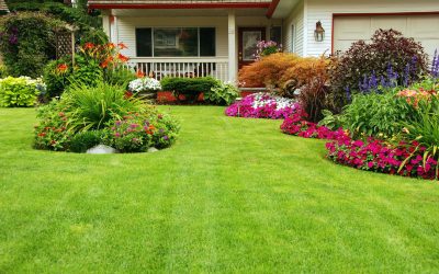 Learn How Dethatching in Minneapolis, MN Transforms Lawns for Lasting Curb Appeal